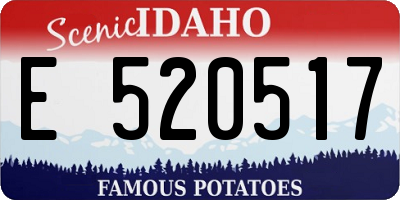 ID license plate E520517
