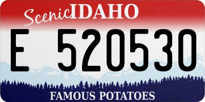 ID license plate E520530