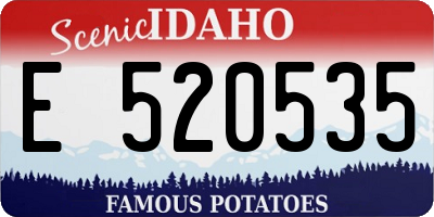 ID license plate E520535