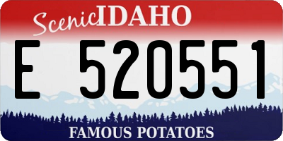 ID license plate E520551