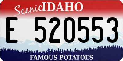 ID license plate E520553