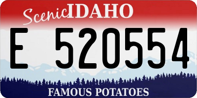 ID license plate E520554