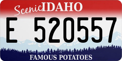 ID license plate E520557
