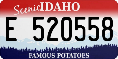 ID license plate E520558