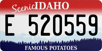 ID license plate E520559