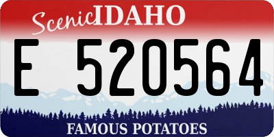 ID license plate E520564