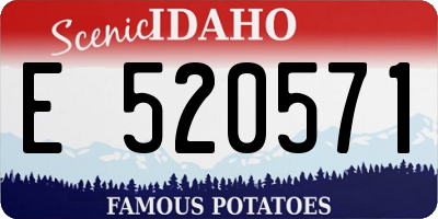 ID license plate E520571