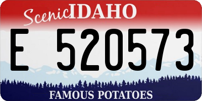 ID license plate E520573