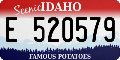 ID license plate E520579