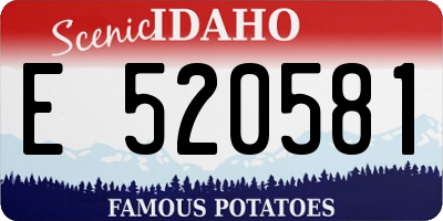 ID license plate E520581