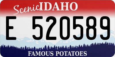 ID license plate E520589