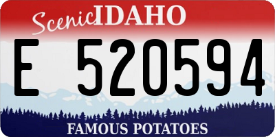 ID license plate E520594