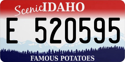 ID license plate E520595