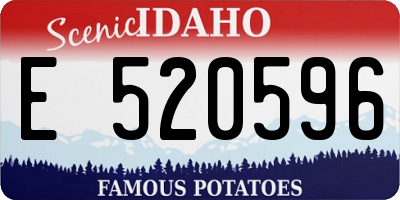 ID license plate E520596