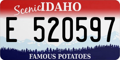 ID license plate E520597