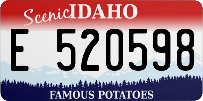 ID license plate E520598