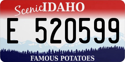 ID license plate E520599