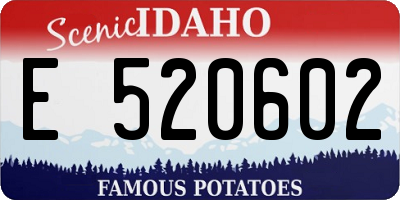 ID license plate E520602