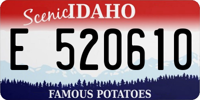 ID license plate E520610
