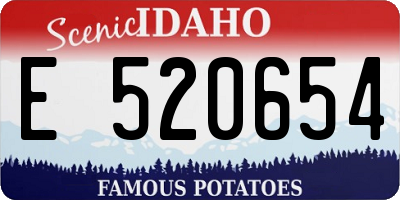 ID license plate E520654