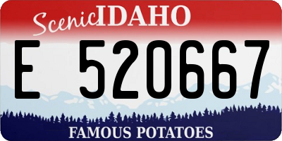ID license plate E520667