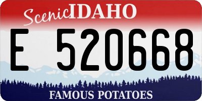 ID license plate E520668