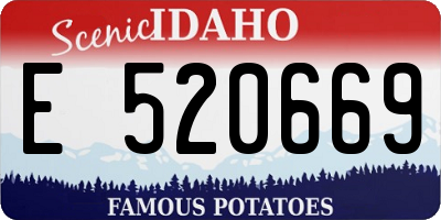 ID license plate E520669