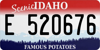 ID license plate E520676