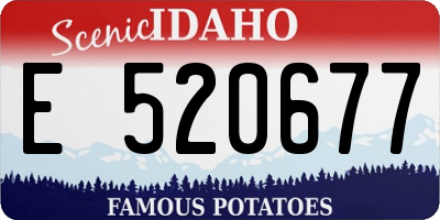ID license plate E520677