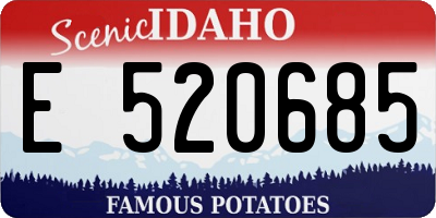 ID license plate E520685