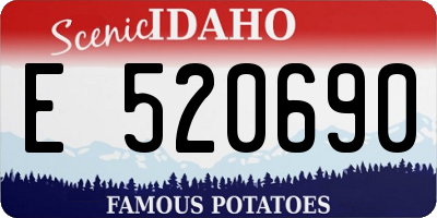 ID license plate E520690