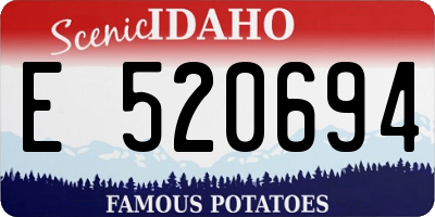 ID license plate E520694