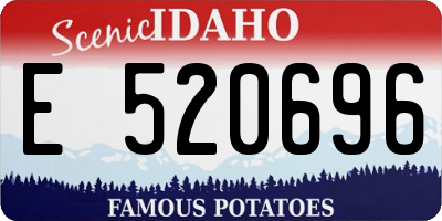 ID license plate E520696