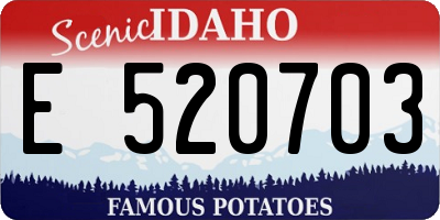 ID license plate E520703