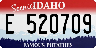ID license plate E520709