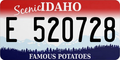 ID license plate E520728