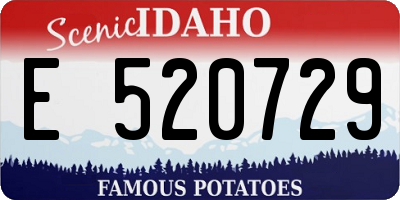 ID license plate E520729