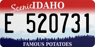 ID license plate E520731