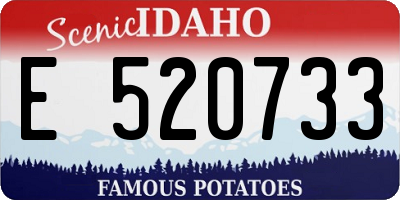 ID license plate E520733