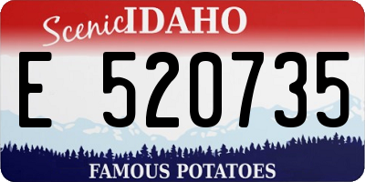 ID license plate E520735
