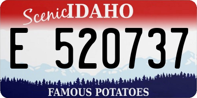 ID license plate E520737