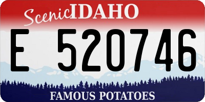 ID license plate E520746