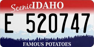 ID license plate E520747