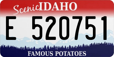 ID license plate E520751