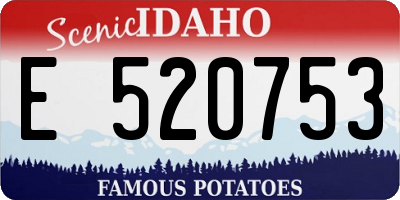ID license plate E520753