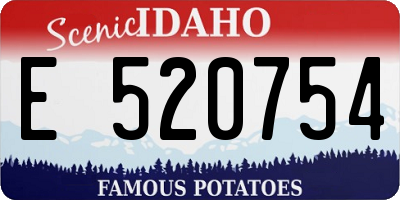 ID license plate E520754