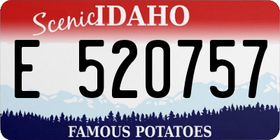 ID license plate E520757