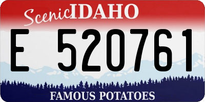 ID license plate E520761