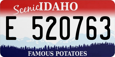 ID license plate E520763