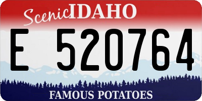 ID license plate E520764